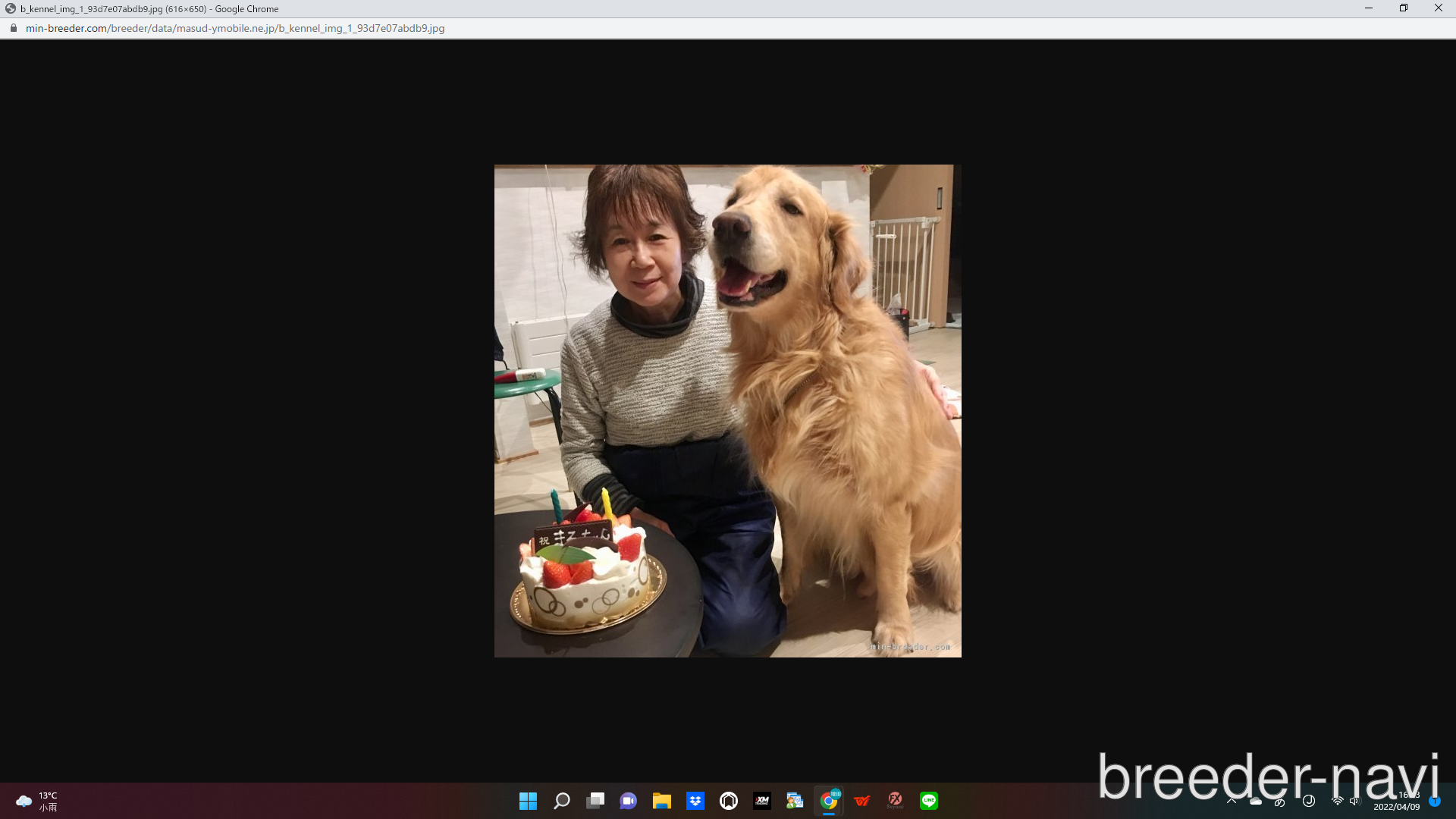 増田ブリーダー